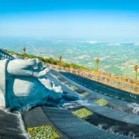 180d1185200t955l8 ton tuong bo tat di