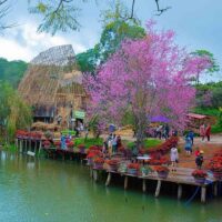 Kinh nghiem du lich mang den 1