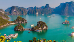 Hạ long tc