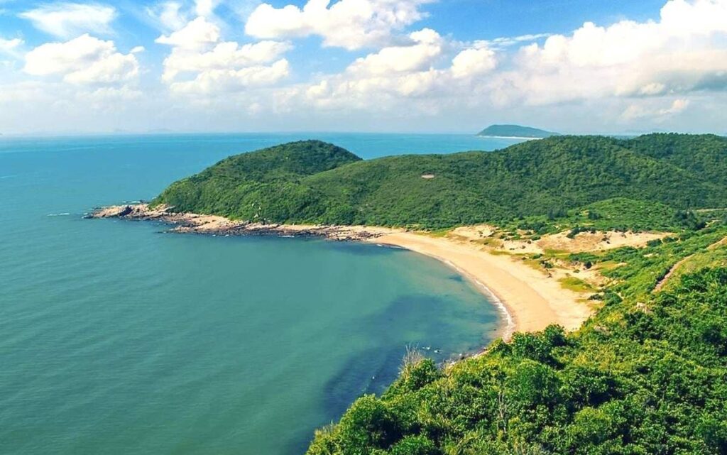 Nv toàn cảnh